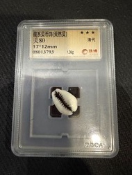 藏系貝幣飾（天然貝），清代老料，珠博評級美80分，尺寸17*12mm，重1.36