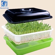 Gazechimp Seed Sprouter Tray Reusable Microgreens Growing Tray for Indoor Gardening