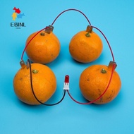 EBINL Fruit Battery Science Experiment Kit, STEM Experiment Kit Potato Powered Electricity Experimen