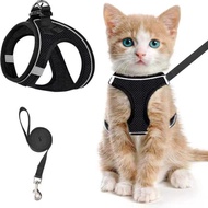 2pcs Adjustable Pet Harness & Leash Set, Breathable Mesh Cat Harness With Leash, Pet Supplies For Ou
