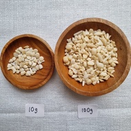 Coral Chips (10gram / 100gram)