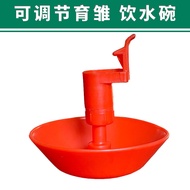 Penyiram air automatik untuk ayam, mangkuk minum anak ayam, cawan air untuk penetasan ayam kecil dan