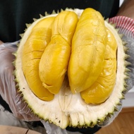 👍 Durian Fresh Musang King - Utuh Bulat