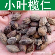 現貨 批發批發小葉欖仁種子 雨傘樹種子 欖仁樹 細葉欖仁種子 1件=1斤