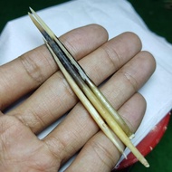 Bulu Landak Asli 3 pis