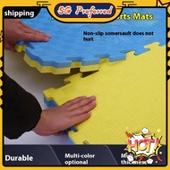 Taekwondo Mats Dance Martial Arts Sanda Thickening Training Special Foam Kindergarten Mat 1 M by 1 M