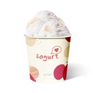 [LOCAL] Sogurt Froyo Ice Cream Lychee Pint (473ml) - Made with Coconut Oil, Contains Probiotics &amp; Prebiotics, Halal