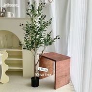 [พร้อมส่ง] Jnihouse : ต้นมะกอกปลอม สูง 1.2 1.5 1.8 เมตร (Artificial Olive Tree) ต้นไม้ปลอม
