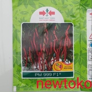 MERAH PM999 F1 chili seeds 10 grams cmk curly chili pm 999 10gr from red arrow TTO99