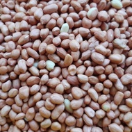 Kacang Tanah Kupas asli India Mentah per 25 kg kacang tanah super