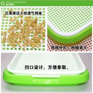 Large Sprout Seedling Seedling Tray Hydroponic Vegetable Seed Soilless Cultivation Bean Sprout Plant