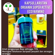 ECO FARMING - Baja Folia Super Aktif (Kapsul Padat) -  (Original) - 30g