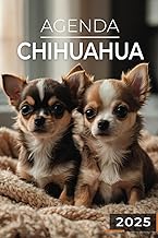 Agenda 2025 - Chihuahua: Journalier | 2 jours par page | Format A5 | Couverture Souple | 194 pages |