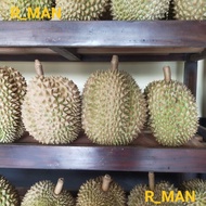 👍 Durian montong fresh utuh