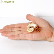 [Nikyushop] Educational Toys Display Miniature Animal Figurine Dinosaur Ammonite Australiceras