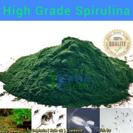 FRESH Spirulina Powder PREMIUM GRADE 100% Natural food BBS Daphnia Fish