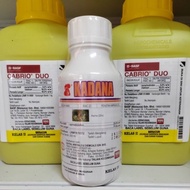 Kadana SC 500ML Spirodiclofen 23% Racun Hamama Sma Racun Envidor Keluaran Bayer