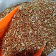 beras merah gabah padi dan jagung untuk pakan ayam bangkok dll