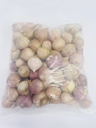 Bawang Putih Jantan 1kg | Fresh Solo Garlic | Bawang Putih Tunggal