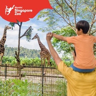 Singapore Zoo E-Ticket | Adult / Child | Open Date Admission | Instant Confirmation