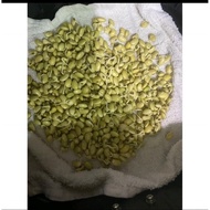 5 ounces of soybean - soybean seeds