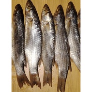 Ikan Belanak masam sedap