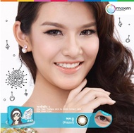 Maxim Colors contact lens คอนแทคเลนส์ตาสวย กล่องฟ้า สีน้ำตาล รายเดือน (1 คู่/2 ชิ้น)