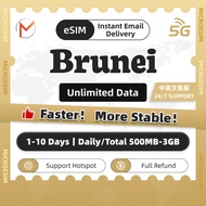 eSIM Brunei 1-10 Days Unlimited Data SIM | High Speed Travel Data | 24H Instant Delivery