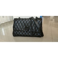 Aldo PL bag like New