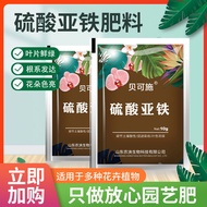 Ferrous Sulfate Flower Nutritional Fertilizer Special Fertilizer Plant Indoor Universal Universal Ag