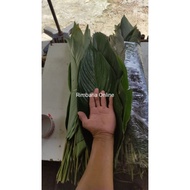 Daun Lerek 2 pilihan