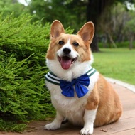 萌少女戰士水手領 - 海王星 - 三種穿搭、附蝴蝶結 & 水手結