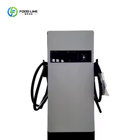 Customized 80KW 3 Phase Dual Gun DC EV Charger 800V Battery Compatible CCS GBT with 55 Inch Advertis