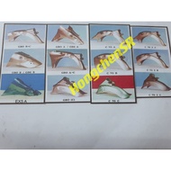 * HONDA GBO GBOJ C70 C70Z LAMPU BULAT REAR FENDER EKOR BESI BELAKANG MUDGUARD BELAKANG FENDER MAGAT 