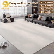 300/400CM Large size carpet, private VIP customized size, living room carpet, bedroom carpet, luxury