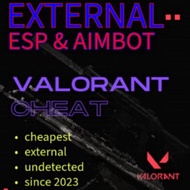 Valorant Hack/Cheat | External ESP and AIMBOT [ Undetected since 2023 ]