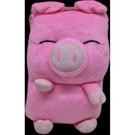 Cover agenda, book, block note, Holy Bible