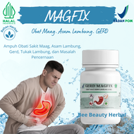 obat maag kronis obat asam lambung gerd magfix fitofarmaka herbal cina cangkang kepiting