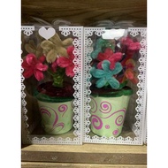 Fuzzy Wire Flower Pot a Box of Gift and Suprise