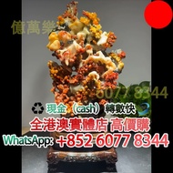 壽山石大梅花，喜事連連、梅開五福，石灣公仔，擺設，瓷像，玉雕，木雕，銅雕，石雕，佛像，玉石，古董，福祿壽，石獅子，白瓷像，白瓷像，德化白瓷像，木佛像，觀音，佛公，彌勒佛，鎏金銅佛像，雕塑，壽山石擺件，