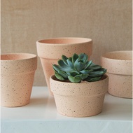 Nordic Style Red Pottery Clay Pots, Ceramic Potted Cactus Pots 红陶花盆大口径陶土盆北欧简约风 多肉陶瓷盆栽仙人掌花盆