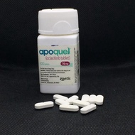 APOQUEL for dogs 16mg tablet (SOLD per pc)