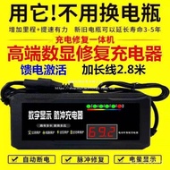 Pulse Lead-Acid Charger Electric Vehicle Maintenance Battery Activation Battery Repairer Battery 48v