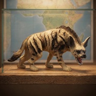 Realistic Hyena Model Toy Educational Wildlife Figurine for Kids Home Decor  huyisheng