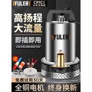Yule 12V DC Submersible Pump 24V48V60V72V Volt Battery Electric Vehicle Pump Pump Irrigation Agricul