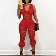 Women's Sheer V-Neck Sleeveless Lace Jumpsuit,Red,Summer,70's,Club Night,Party Disco Outfit One Set 