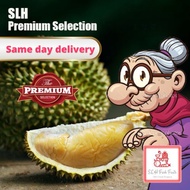 [Same Day Delivery][Old Tree] SLH Fresh Durian Delivery 400/600g/RP/D13/SK/MSW/JF/BT