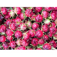 Ready Stock Available 洛神花  Fresh Red Roselle Flower  Bunga Rosella 50/100G