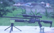 MAINAN SENAPAN ANGIN PREDATOR - PCP BLACK LAVA TACTICAL ASLI