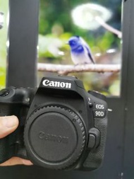 canon 90D EOS 90d  90 d  近乎全新 歡迎tradein camera lens